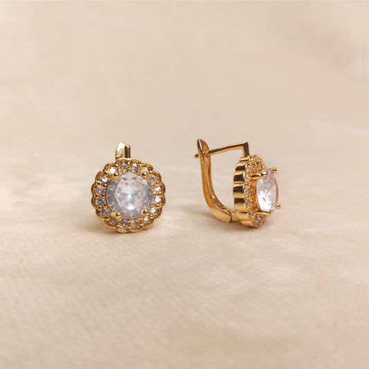 Zircon Earrings for Women 0798